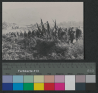 HdEG_6010_0086_3